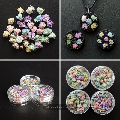 Сухоцвіти дрібні, сухі квіти Гіпсофіла Райдужна для декорування виробів з епоксидної смоли  Декорування 